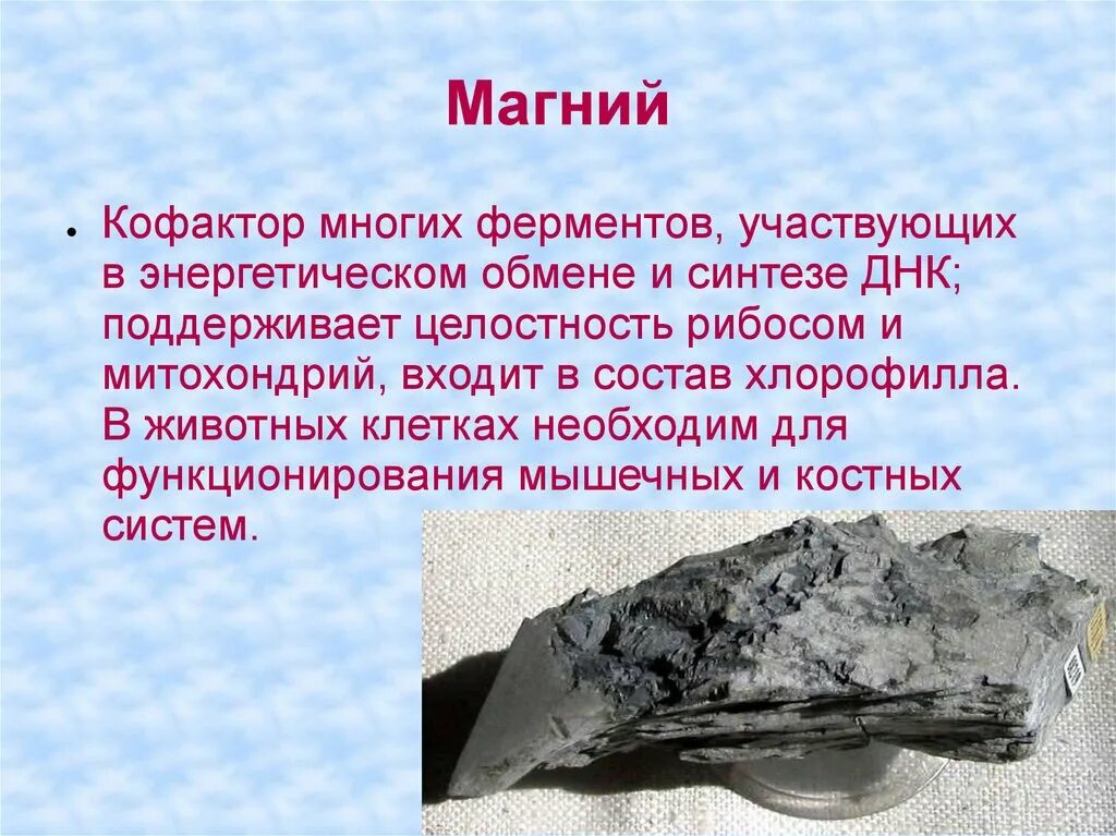 Количество химических элементов в кле. Химический состав клетки магний. Магний и кислород. Химический состав клетки презентация 10 класс по биологии. Химический состав клетки магний.