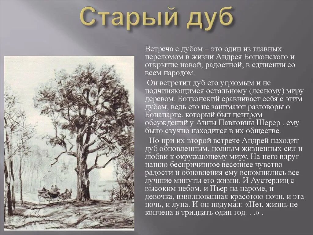 В лесах наибольшей выразительностью предстают перед нами. 1 Встреча с дубом Андрея Болконского. Встреча с дубом Андрея Болконского.