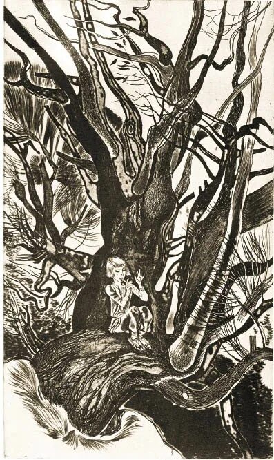 сочинение по русскому языку 7. текст орёл сизокрылый всем птицам царь. русский язык 5 класс упражнение 823. цитатный план повесть о полку игореве. пословицы про дуб для детей.