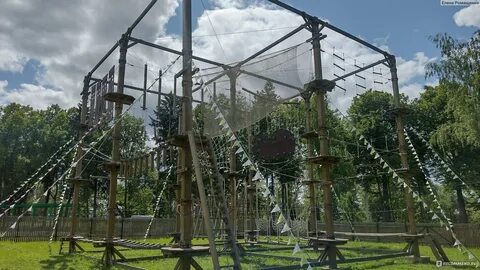 Сестрорецком парке клина