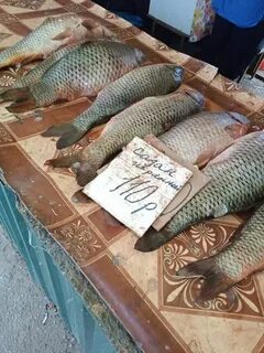 Рыба опт астрахань