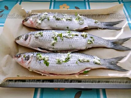 Как вкусно засолить кефаль