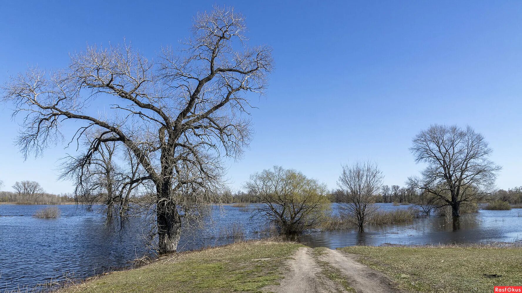 волга апрель