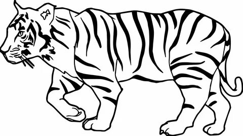 Тигр белый рисунок детский (52 фото) .