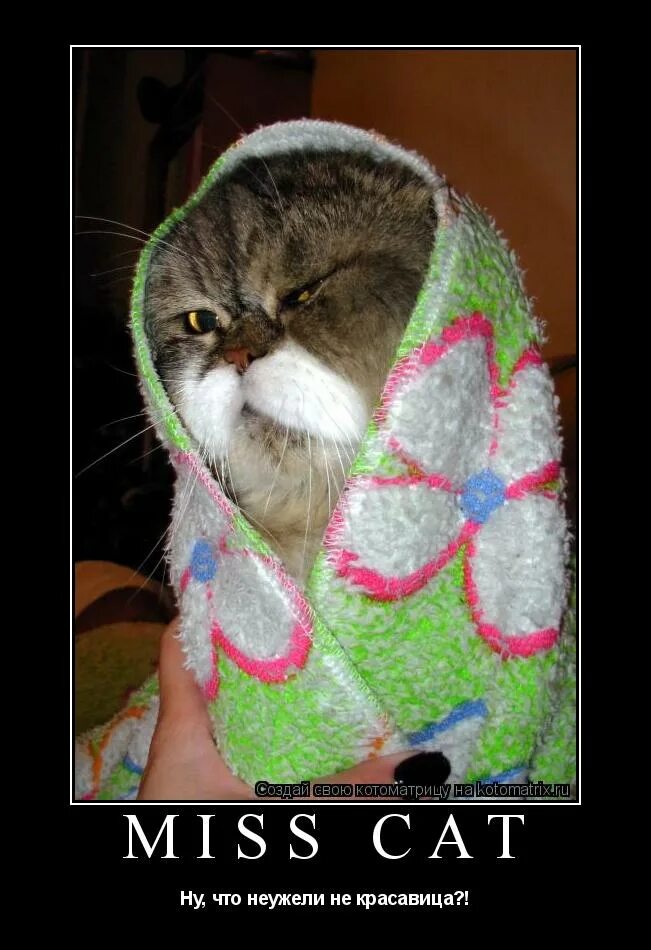 холодно. холодно прикол. зиму перезимовали и весну перезимуем. приколы про мороз. опять холода.