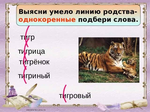 Суффикс в слове тигренок