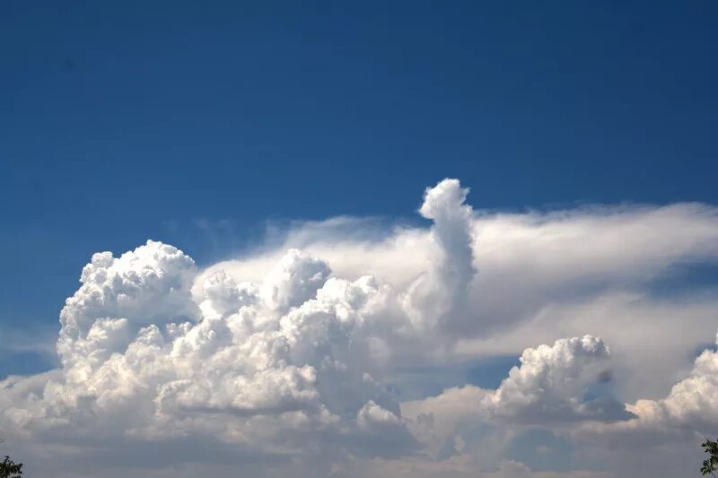 Обитатель облаков. Интересные облака. Облака форма. Облака интересной формы. Необычные облака.