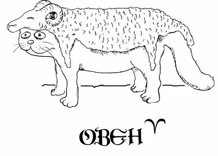 Овен пишет первый
