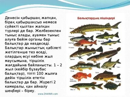 Ерлерге арналған Мәскеудегі порно кештер