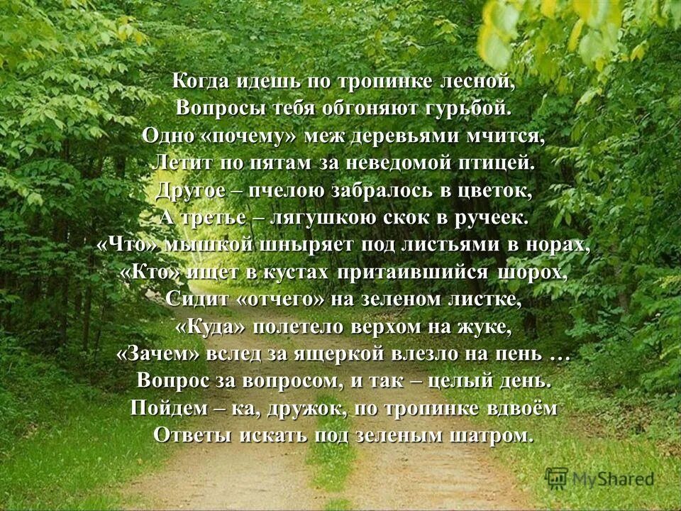Ходить только по тропинкам. Человек идет по тропинке. В лесу старайся ходить по тропинкам. Прогулка на природе. Девочка идет по дорожке в парке.
