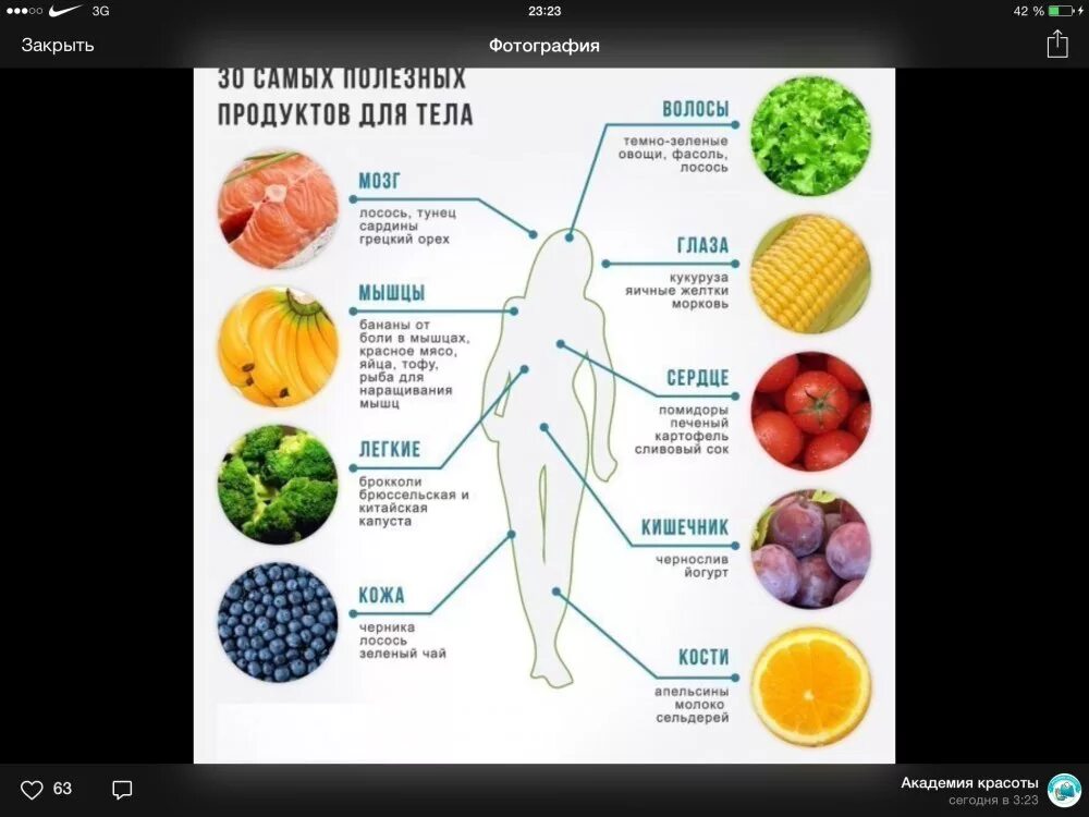 Пища, полезная для легких. Продукты полезные для легких и бронхов. Продукты полезные для легких. Еда для легких и бронхов полезная. Какое самое главное полезное