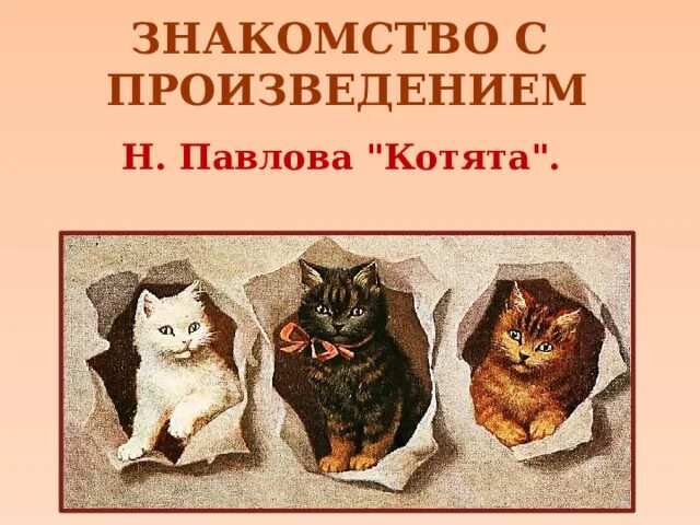 В каких произведениях есть котенок. Павлова котята. Книги Нины Павловой котята. Н.М.Павлова котята. Обложка книги Нины Павловой котята.