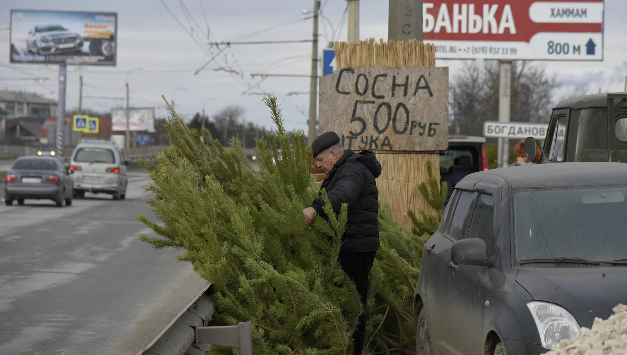 Догони симферополь. Елочный базар прикол. Хочешь сосну. Хочешь сосну Мем. Хочешь сосну прикол.