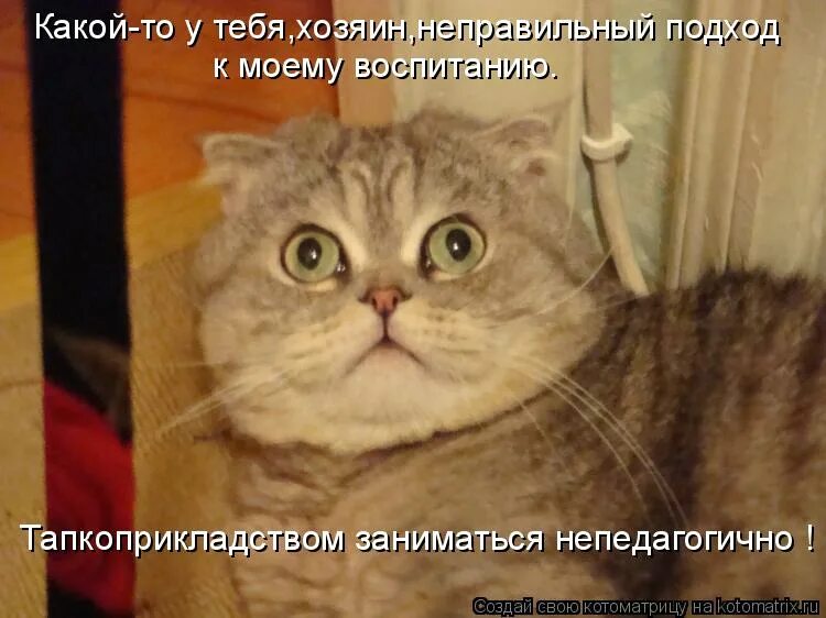Доброе утро спокойствие только спокойствие. Пума мемы. Скорее бы каникулы картинки. Ксюша мем. Миранда пристли.