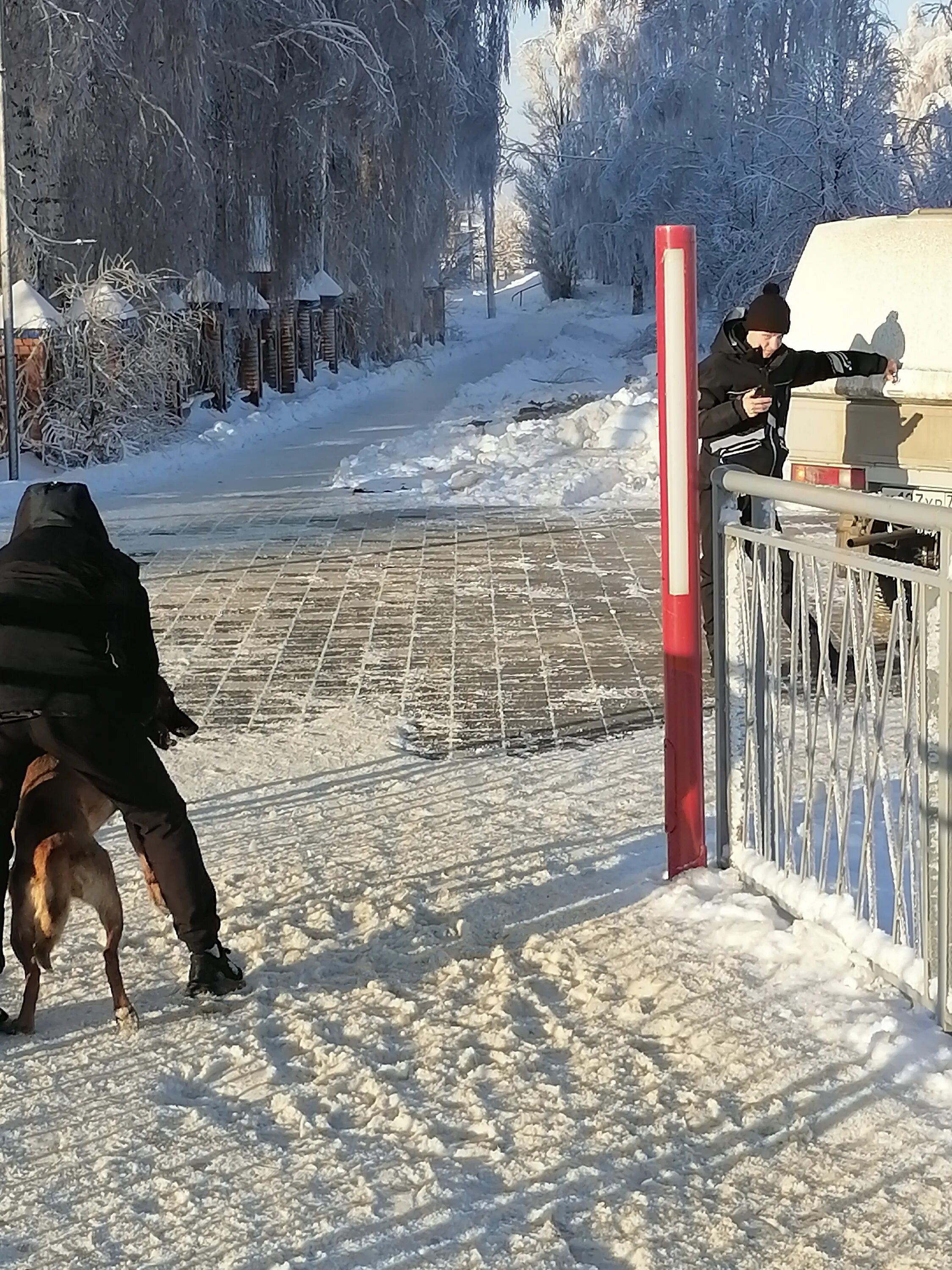 Отлов собак Нижневартовск.