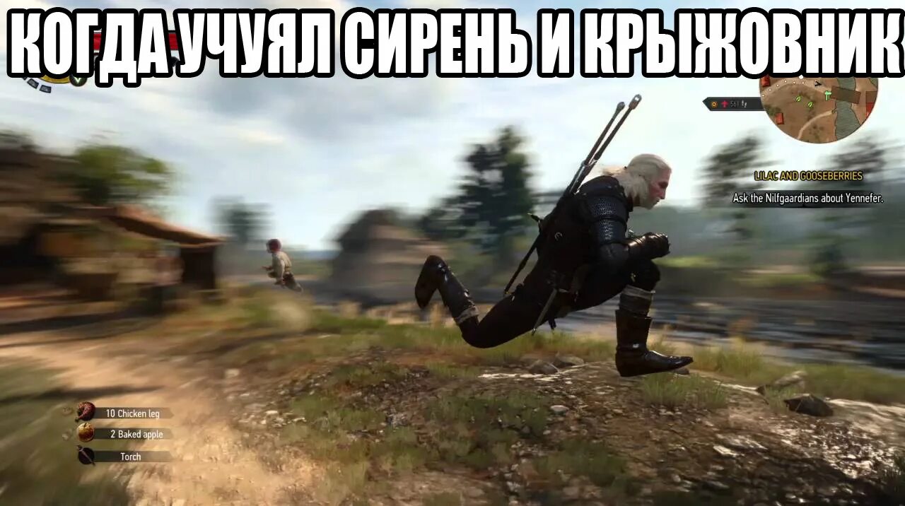Мем 3 1. Геральт ведьмак 3 мем. ведьмак 3 мемы. мемы про ведьмак 3 игру года. ведьмак приколы.