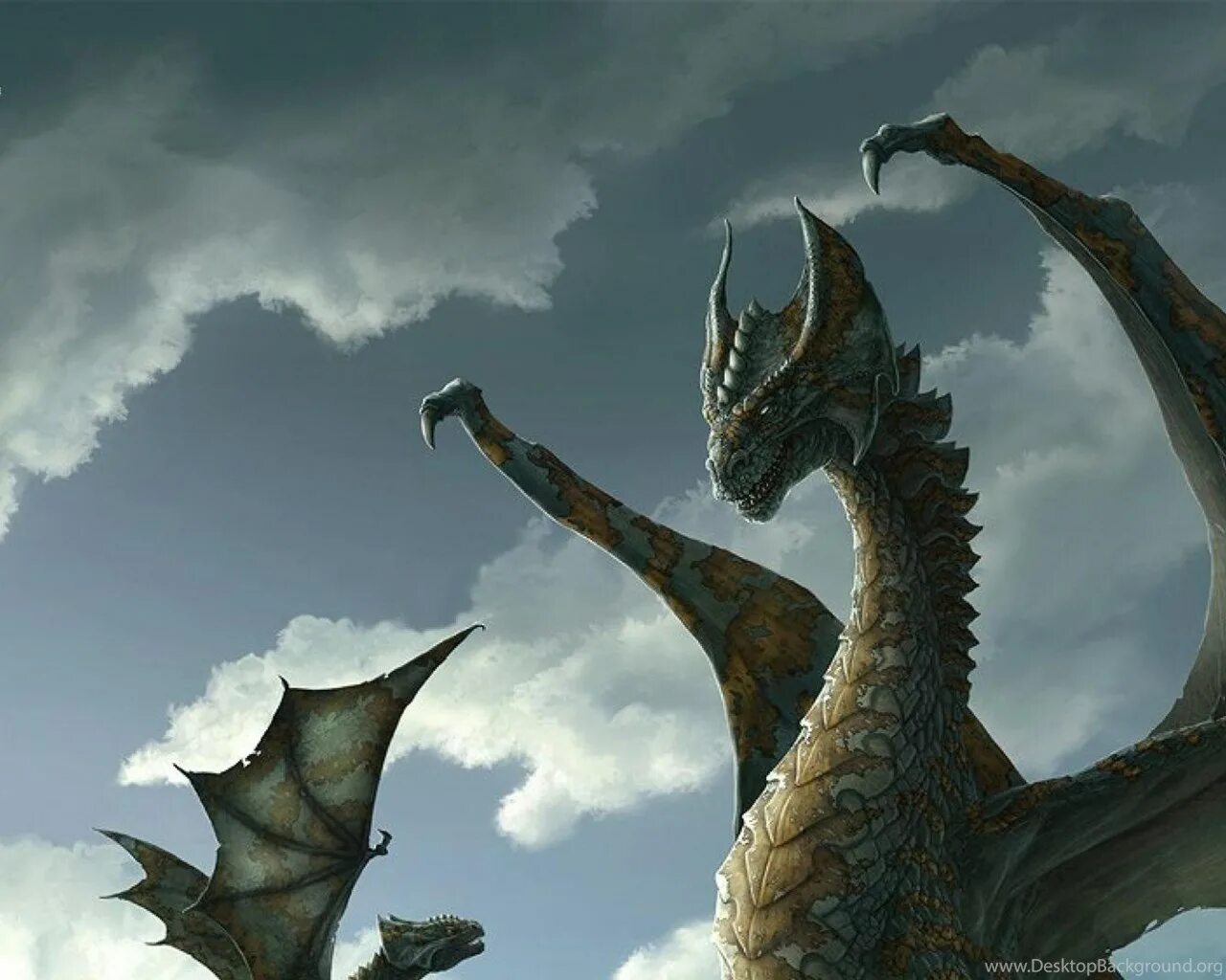 Дракен в реальной жизни. Драко в реаальной жизни. Дракон живой. Зирнитра дракон. Мир драконов: ожившая фантазия фильм 2004.