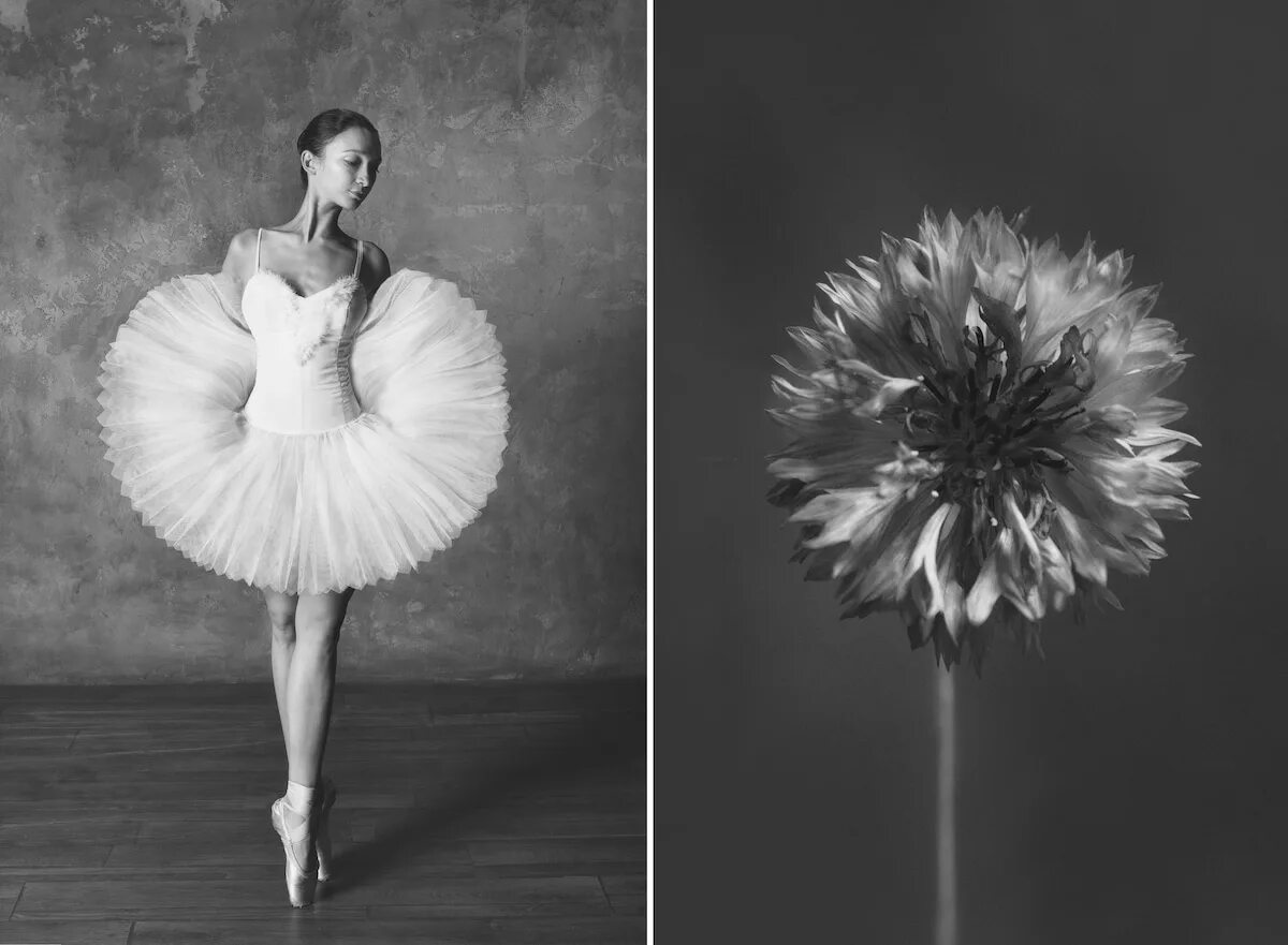 Flower knowing ballet box
