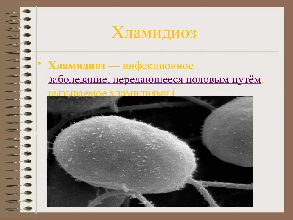 Какие из перечисленных заболеваний передаются половым путем. Инфекционные заболевания половым путем. Таблица инфекции передаваемые половым путём хламидиоз. Хламидиоз это инфекционное заболевание.