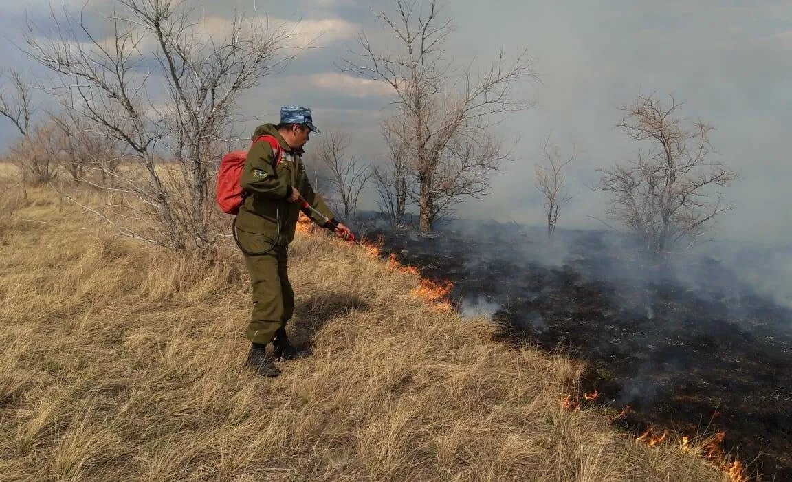 Тушат Степной пожар. Способы тушения степных пожаров. Пожар в степи. Тактика тушения степных пожаров.