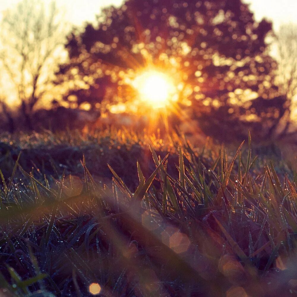 Утро кофе солнце. Солнце и человек. Утреннее солнце. Солнце каждое утро. Утреннее солнце.