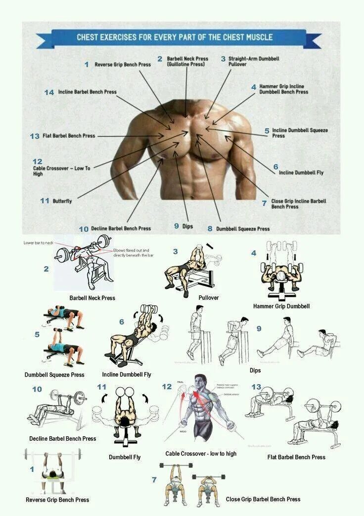 Упражнения на грудные в зале для мужчин. Упражнения на грудные мышцы. Программа прокачки мышц груди. Упражнения на грудные мышцы для мужчин. Упражнения на грудные мышцы в тренажерном зале.