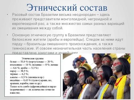 К какой семье относятся бразильцы