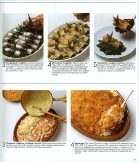 Характеристика закусок