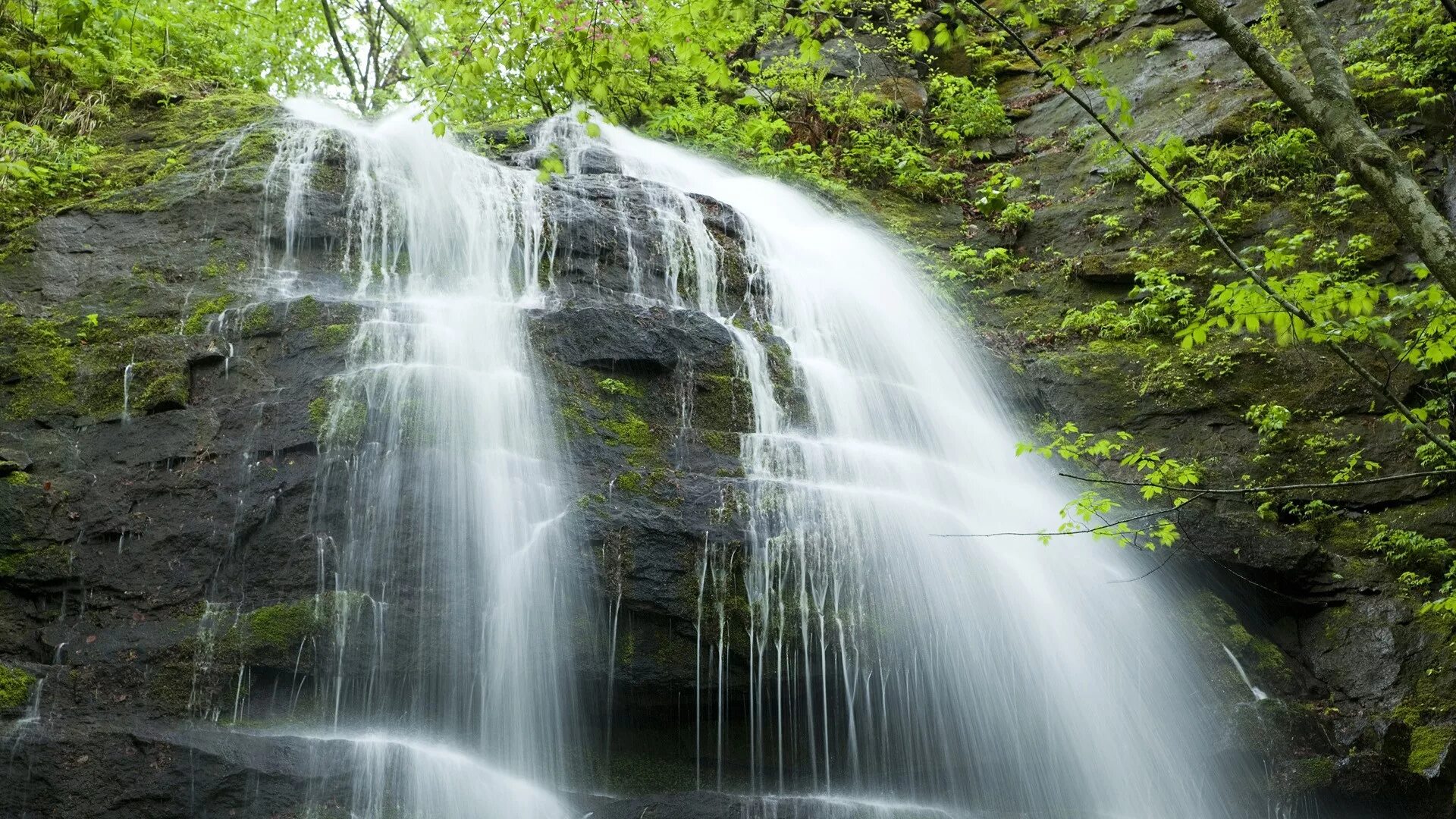 Cascade