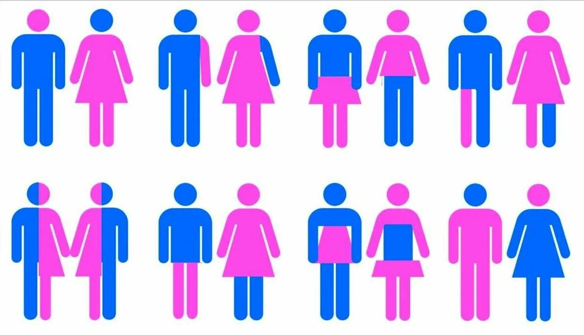 У человека есть пол. Гендер. Ориентации людей. Ориентация и гендерная идентичность. Гетеросексуальная ориентация.