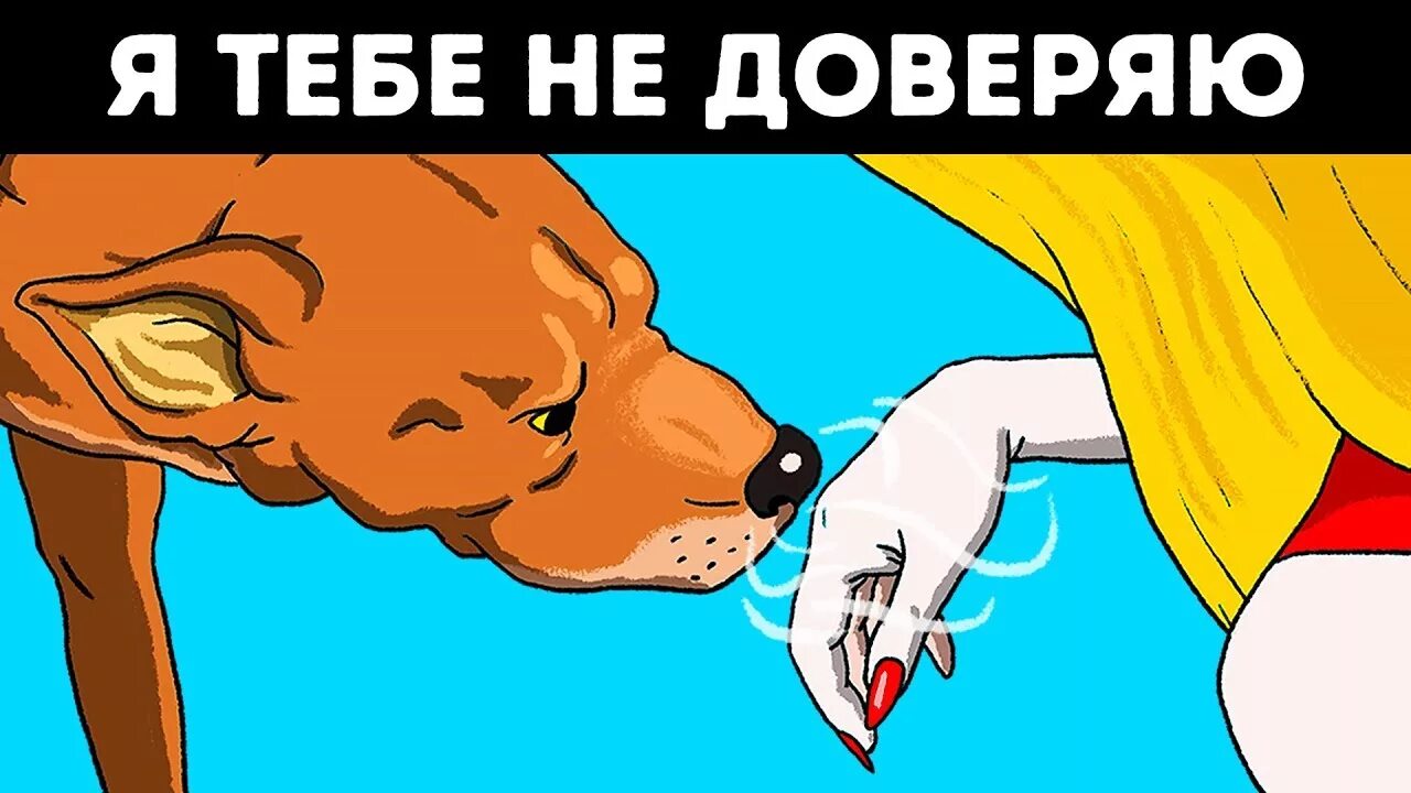 Запах суки