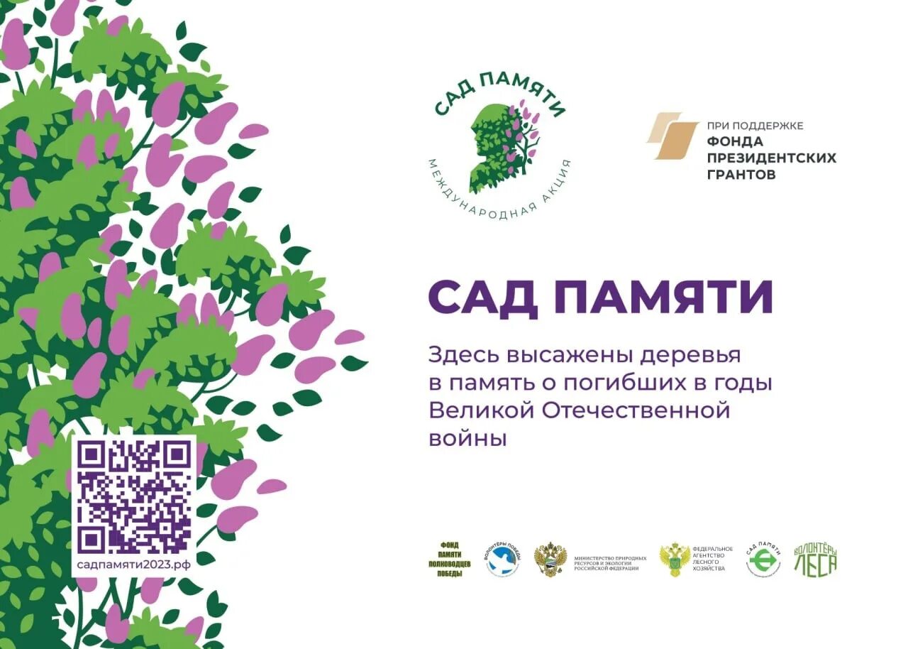 Семейные экологические проекты 2025 краснодарский край. Семейные экологические проекты 2025 краснодарский край