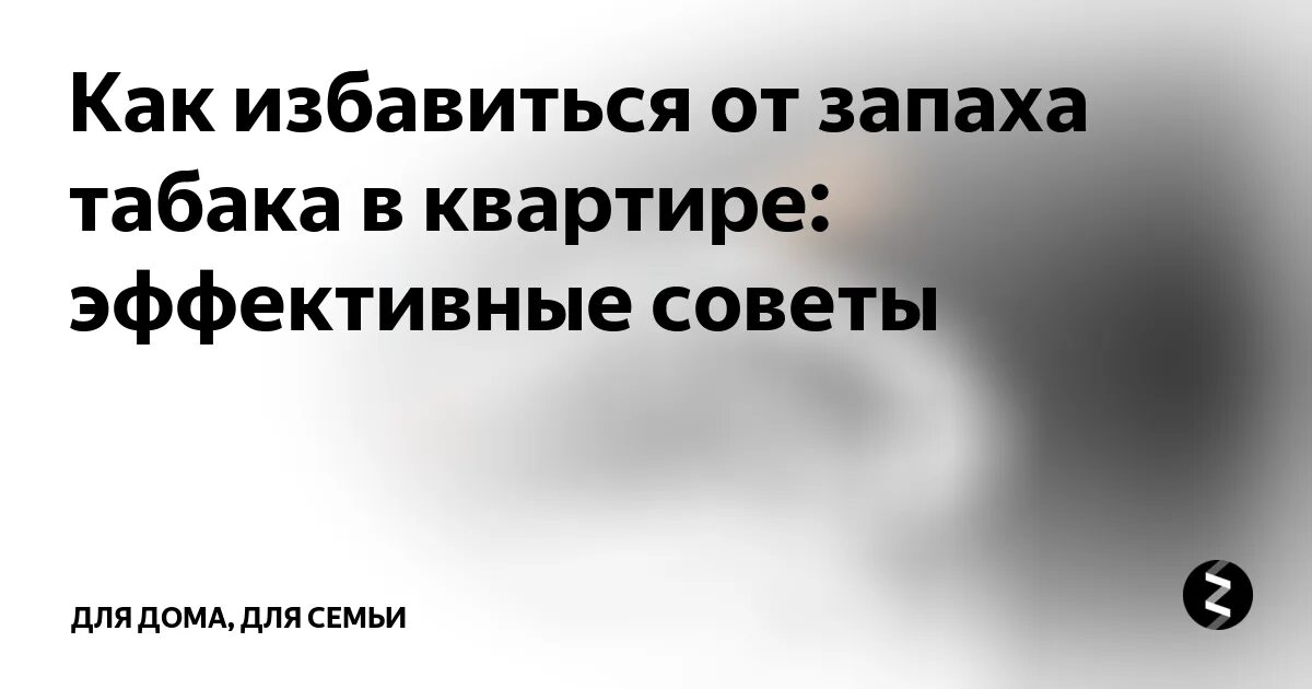 Как убрать запах табака в комнате. Избавление от запаха табака. Как избавиться от запаха табака в квартире. Убрать запах сигарет в квартире. Как убрать запах сигарет в квартире