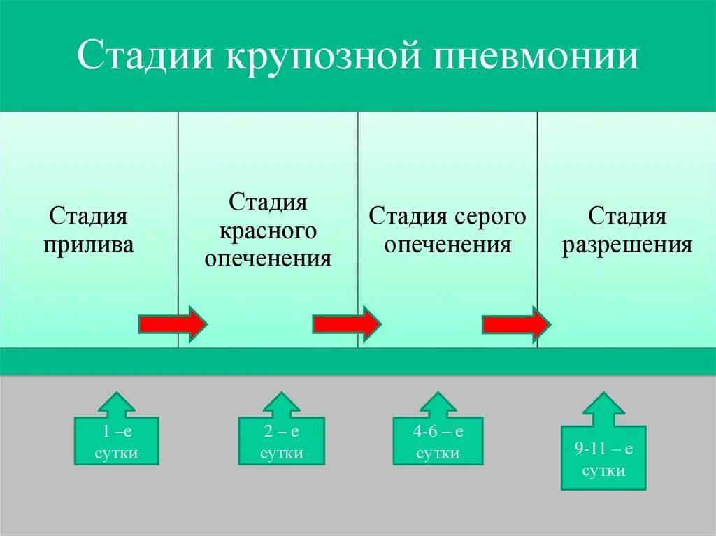 Этап или стадия 3. Крупозная пневмония стадия разрешения. Стадии крупозной пневмонии. Фазы развития пневмонии. Крупозная пневмония стадии развития.