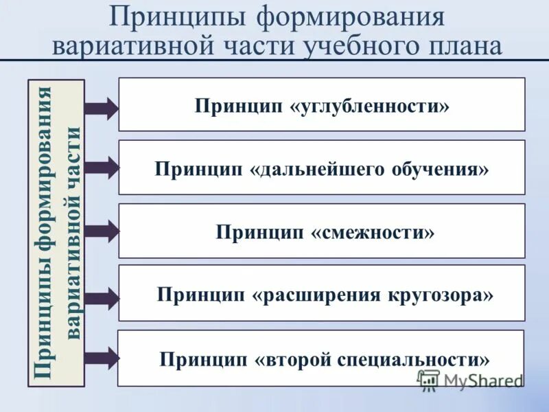 Стратегия развития вариативного образования в россии. Принципы формирования запросов. Гуманистичность. Принципы формирования содержания образования. Принципы формирования плана.
