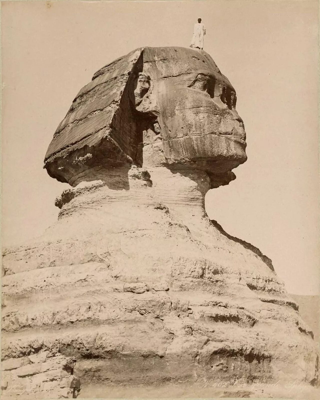 Сфинкс древнего Египта. Сфинкс Египет 1860. Сфинкс Египет 19 век. Великий сфинкс Гизы. Царь разгадавший