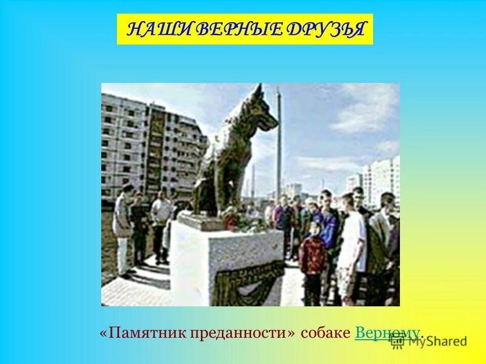 шримад бхагаватам. школа преданности. татьяна михайловна бухгалтер середкинская школа. школа преданности. памятник собаке в тольятти история.