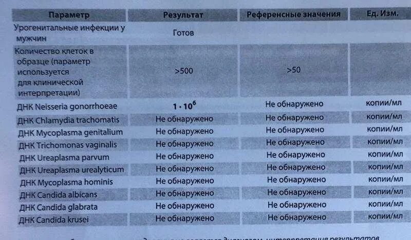 Результаты анализов на ЗППП. ПЦР анализ. Анализ на инфекции, передаваемые половым путем. Урогенитальные инфекции ПЦР.