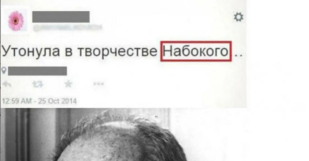 Набокий. Набоков Мем. Утонула в творчестве Набокова. Набоков приколы.