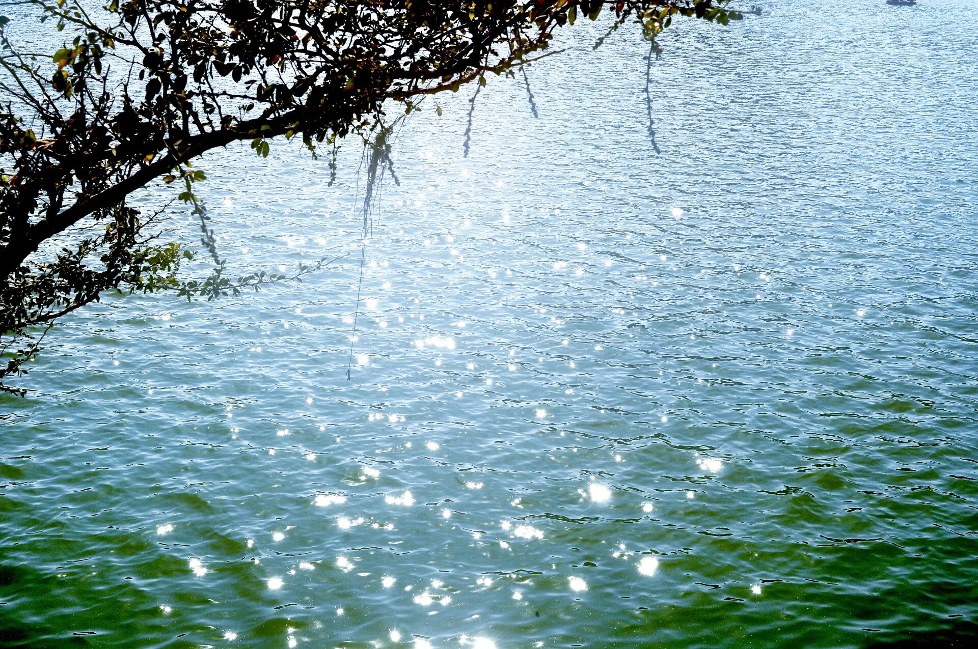 Вода блестит. Сверкающая вода. Вода искрится. Река искрится. Вода едва блестела в реке