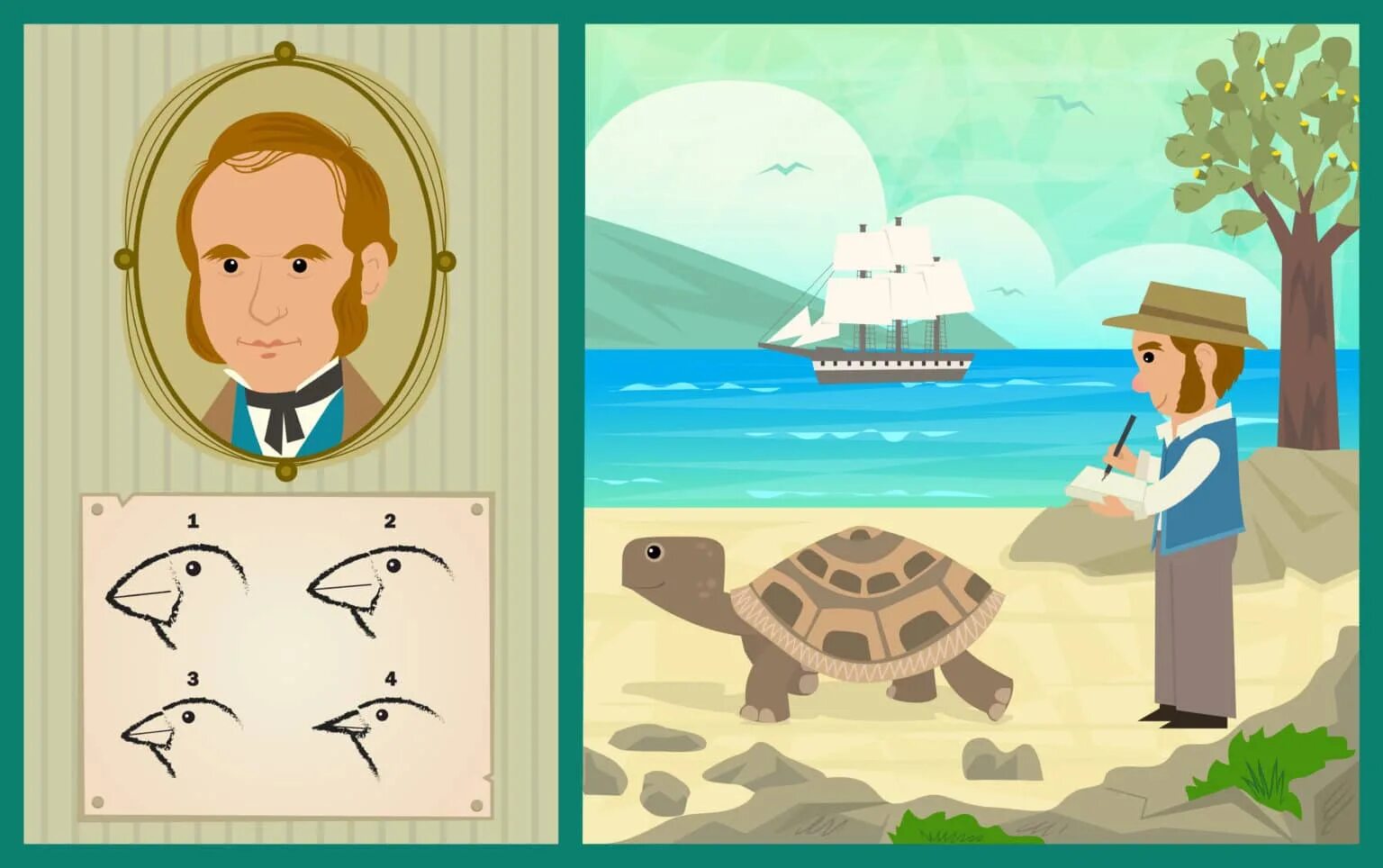 Дарвин зарисовки Галапагосские острова. Неизвестное путешествие Дарвина.