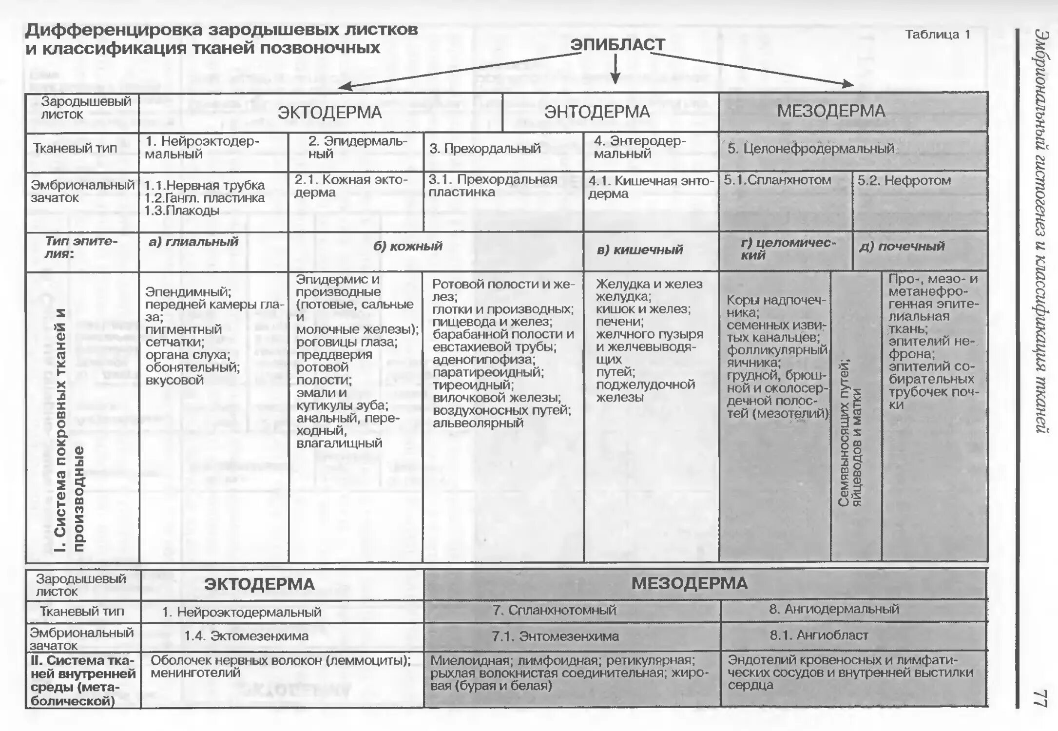 Гистология таблицы. Классификация эпителиальной ткани таблица. эпителиальная ткань таблица. классификация соединительной ткани гистология схема. классификация эпителиальной ткани гистология.