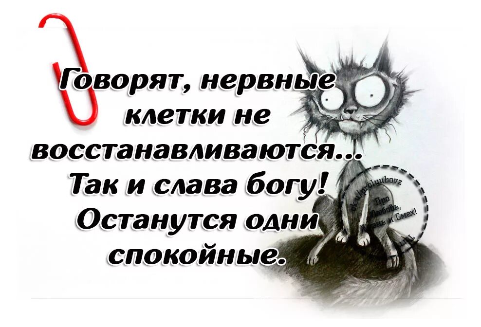 Прикольные картинки со смыслом. Слова со смыслом в картинках со смыслом. Нервные клетки восстанавливаются. Слова со смыслом в картинках прикольные новые. Прикольные статусы в картинках про жизнь.