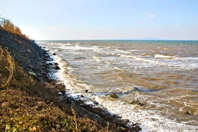 Форум амурский берег хабаровск. Амурский берег. Амурский залив пляж Владивосток. Водоросли Владивосток Амурский залив на берегу. Амурский берег красиво.