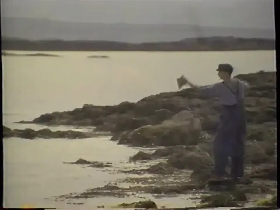 The Secret of Roan Inish (1994. Тайна острова Роан-Иниш селки. Тайна острова роан иниш