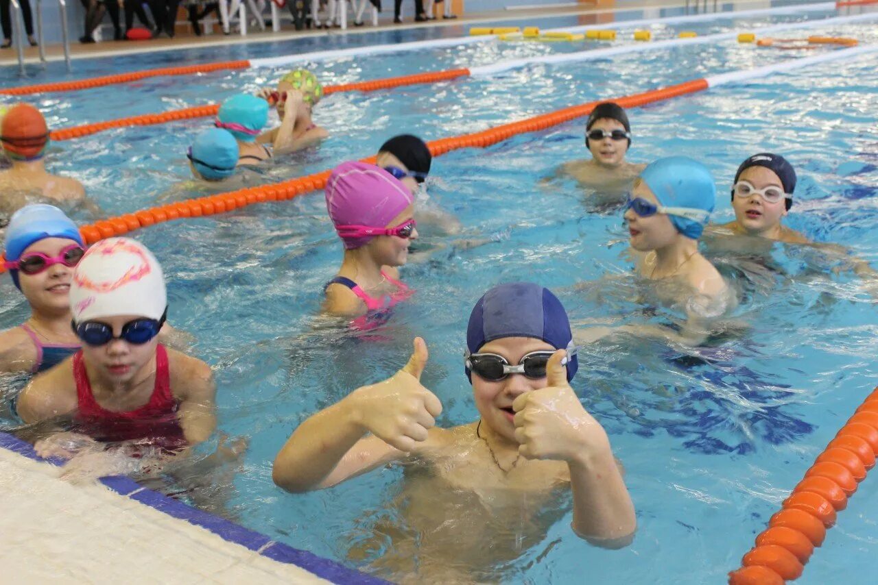 509 Школа Красносельского района бассейн. Школа 509 Красносельского района плавание. Бассейн для школьников. Спортивное плавание дети.