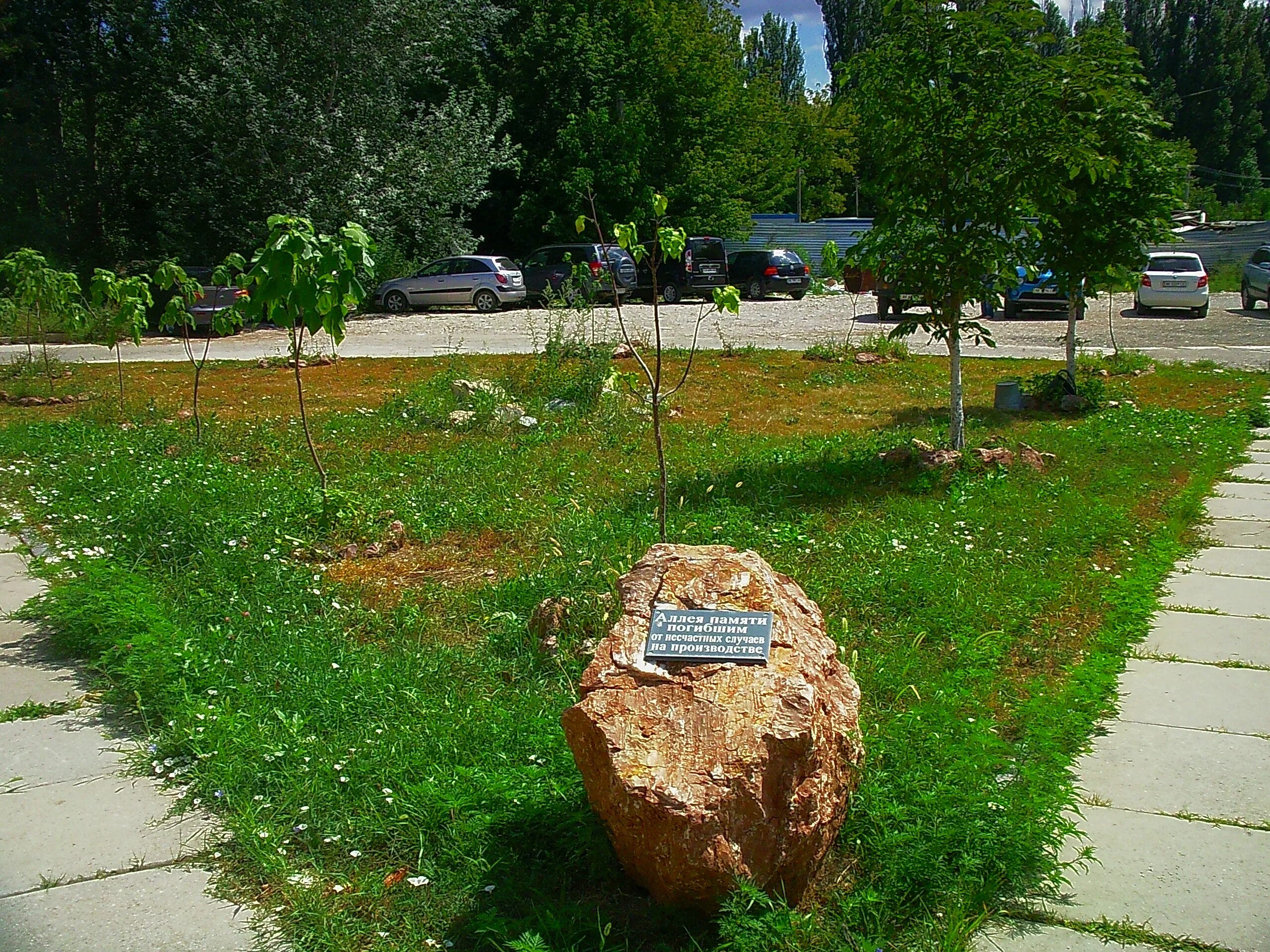 Аллея памяти Симферополь. Аллея памяти погибшим от несчастных случаев. Аллея памяти Березники. Аллея памяти в Давыдово. Аллея памяти погибшим