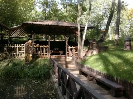 Березовая роща стреково
