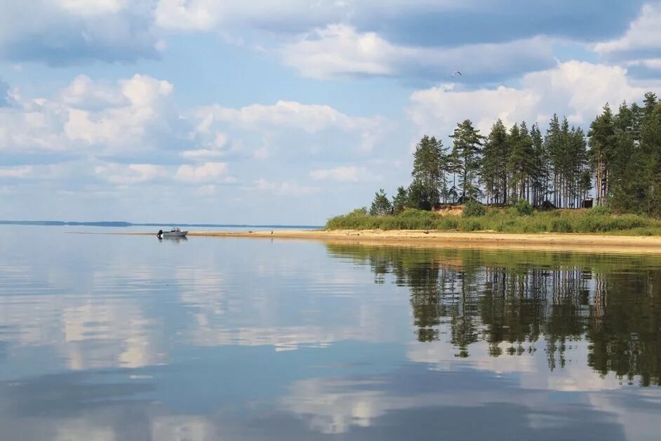 Рыбинское водохранилище Череповец. Рыбинское водохранилище Рыбинское водохранилище. Ляга Рыбинское водохранилище. Рыбинское водохранилище Ярославль. Места на рыбинском