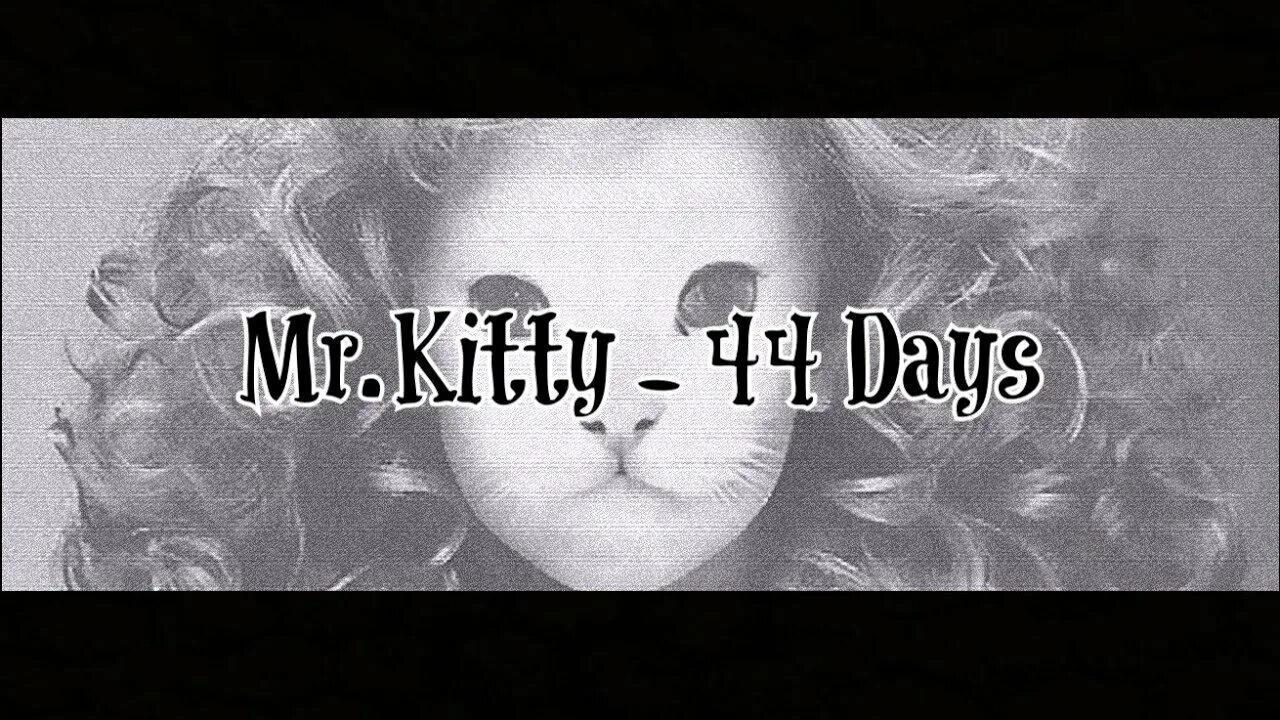 Mother Mary Mr.Kitty. Mr Kitty 44 Days. Mr Kitty destroy me. Lost children Mr Kitty. 44 days kitty